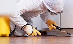 Best Real Estate Pest Inspections  in Wchester, IN